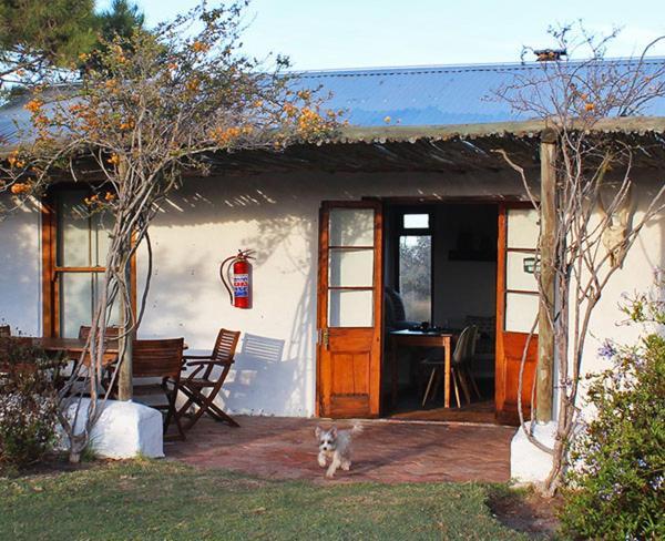 !Khwa Ttu Bed & Breakfast Swartwater Exterior photo